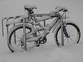 山地自行車(chē),自行車(chē),被忽悠