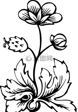 植物區(qū)系,花的,花