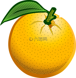 橙色,水果,甜