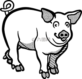 豬,動物,農(nóng)場