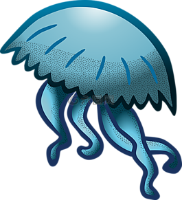 海蜇,海,動物