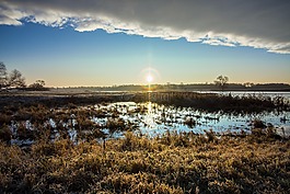 全景,性質(zhì),水域