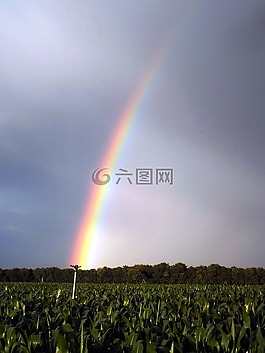 彩虹,顏色,風(fēng)暴