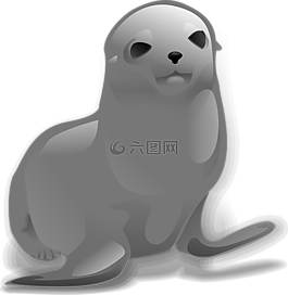 密封,海獅,海洋哺乳動物
