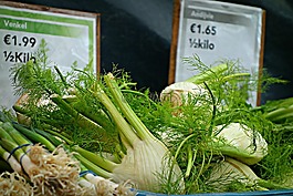 茴香,草本植物,小茴香