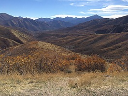 秋天,山,猶他州