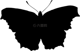 動(dòng)物,蝴蝶,昆蟲