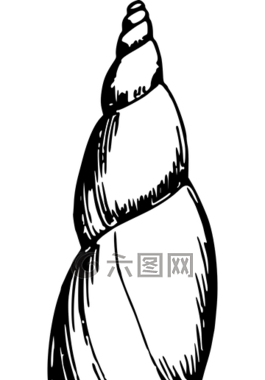 動(dòng)物,海灘,海洋