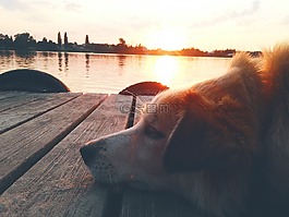 湖,西,日落