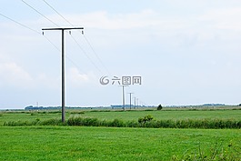草地,綠色,地平線