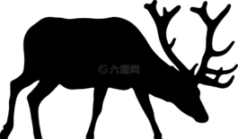 動物,鹿角,鹿