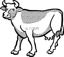 動物,牛,農(nóng)場
