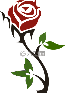 玫瑰,花,愛