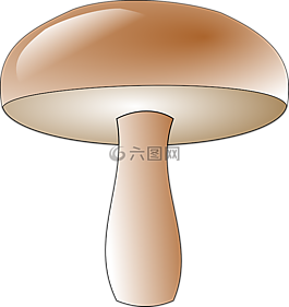 蘑菇,毒菌,菌类