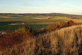 奥地利,königswarte,领域