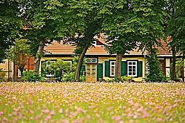 布施帕希姆,fachwerkhaus,鮮花
