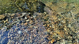 水,水波,性質(zhì)