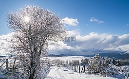 雪,冬天,弗羅斯特