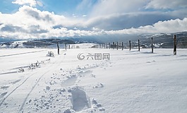 冬天,雪,性质