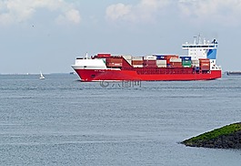 集装箱货轮,westerschelde,水域