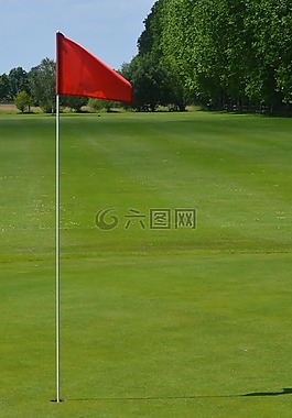 高爾夫,高爾夫球場,綠色