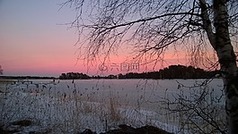 日落,冬天,景觀