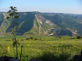 戈蘭高地,以色列,景觀