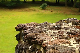 废墟,墙,rasenerz