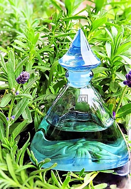 廠,熏衣草,薰衣草花