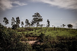 性質(zhì),景觀,地平線