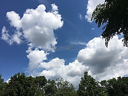 云,樹,天空