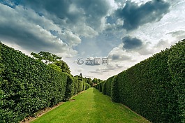 arhitecture,艺术,背景