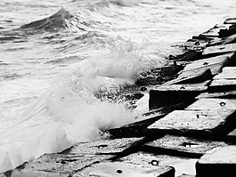 水,海,海洋