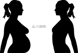 女子,懷孕,女性