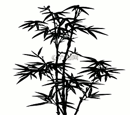 竹,植物,黑