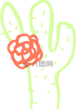 仙人掌,花,植物