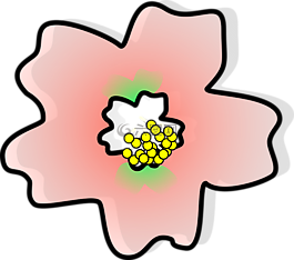佩尼亞,花,日本