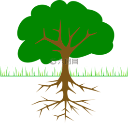 樹,分支機(jī)構(gòu),根