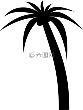 樹,棕櫚,側(cè)影