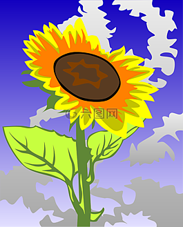 向日葵,黃色,開花