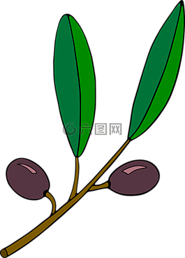 綠色的樹葉,漿果,水果