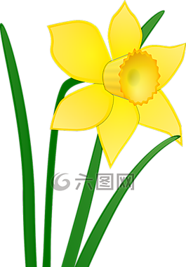 喇叭花,黄色,花