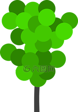 樹,植物,綠色