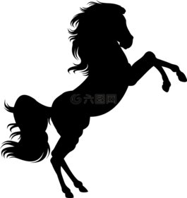 動物,馬,飼養