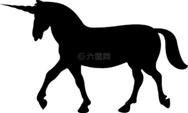 动物,书籍,生物