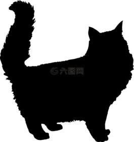 動物,貓,蓬松