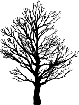 荒蕪,分支機(jī)構(gòu),自然