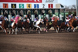 馬匹,賽馬,賽馬場
