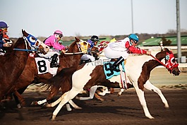 馬匹,賽馬,賽馬場