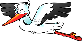 鸛,鳥,飛
